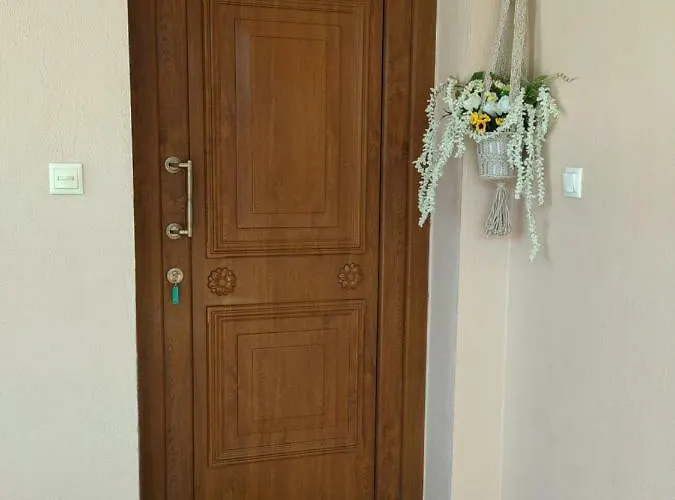 Irene In Apartamento Sykia Chalkidikis